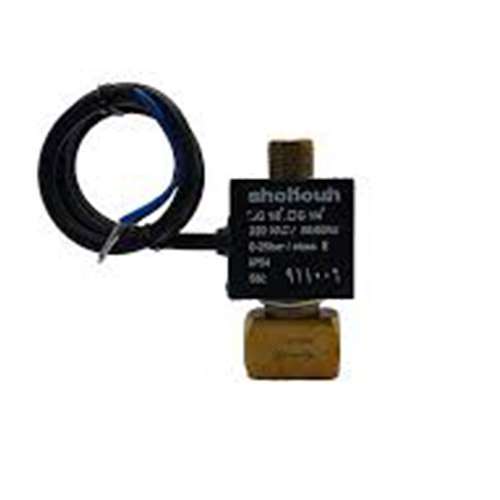 شیر گازوئیلی شکوه